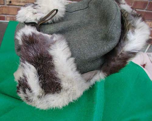 Opinions Please. Heer Winter Fur Cap.