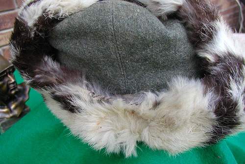 Opinions Please. Heer Winter Fur Cap.