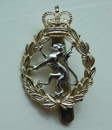 Womens services cap badges