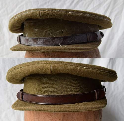 Welsh officers SD cap