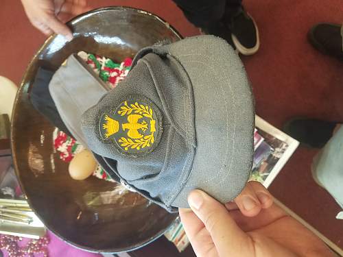 Does Anyone have info on this swedish cap?