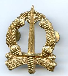 South AFrican MP Cap Badges
