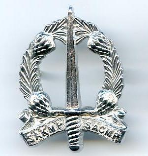 South AFrican MP Cap Badges