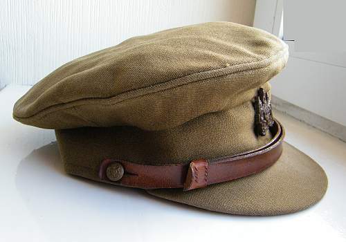 Stripped Officers SD cap