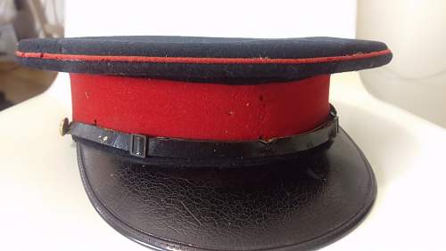 Unidentified Staff Officers Cap