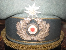 General Officers Visor