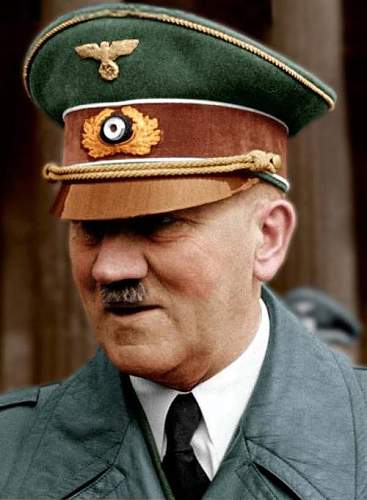 Hitler Visor #4 (or 6)