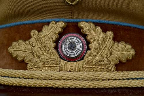 NSDAP Ortsgruppenleiter cap for review