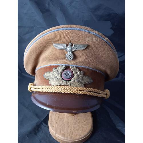 NSDAP Visor Cap