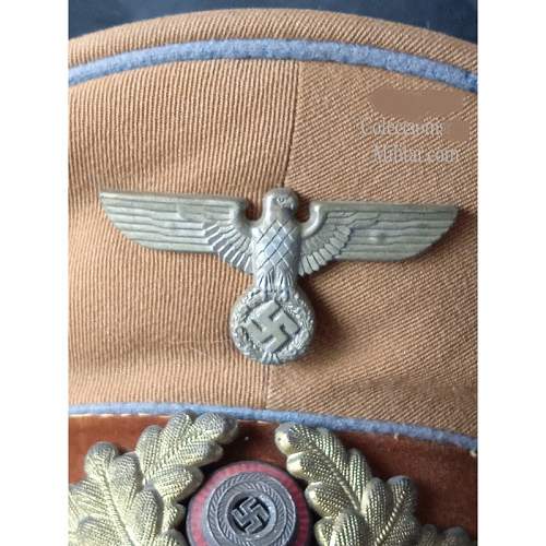 NSDAP Visor Cap