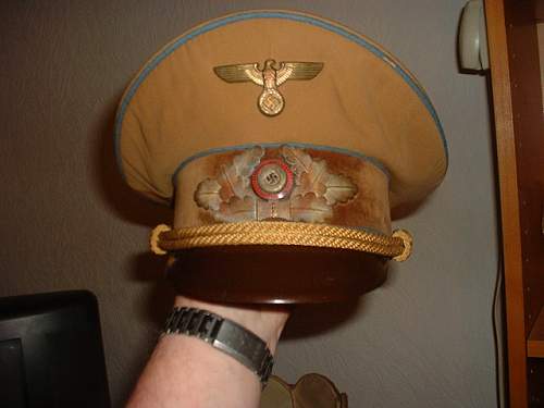 Political Visor