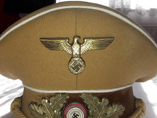 NSDAP Kreis Visor Fake???