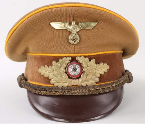 NSDAP Reich Visor real???