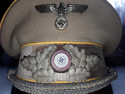 Political Visor Reich Level