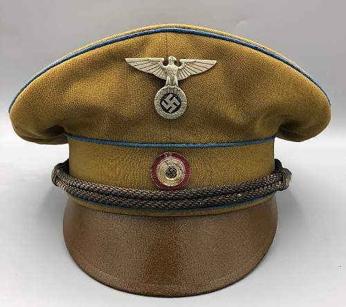 Post Your NSDAP Political Hats!