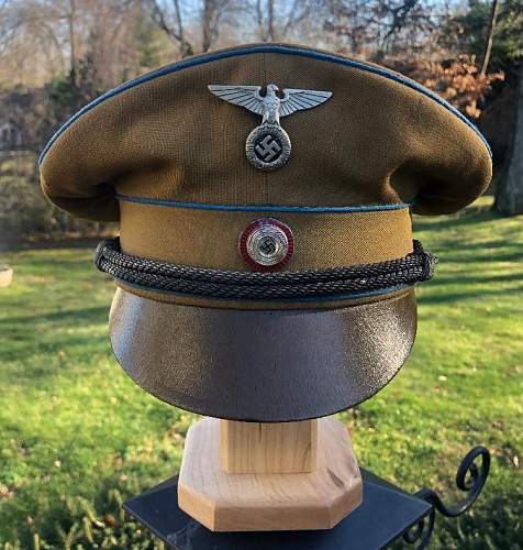 Post Your NSDAP Political Hats!