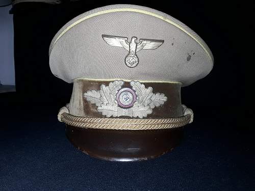 Reichslevel Visor offered