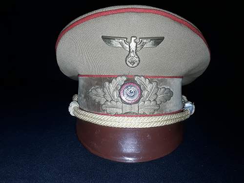 Post Your NSDAP Political Hats!