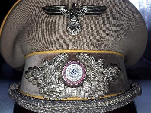 Post Your NSDAP Political Hats!