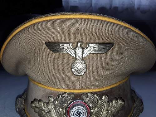 Post Your NSDAP Political Hats!