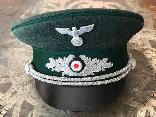 Forestry Service Official’s Visor