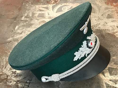 Forestry Service Official’s Visor