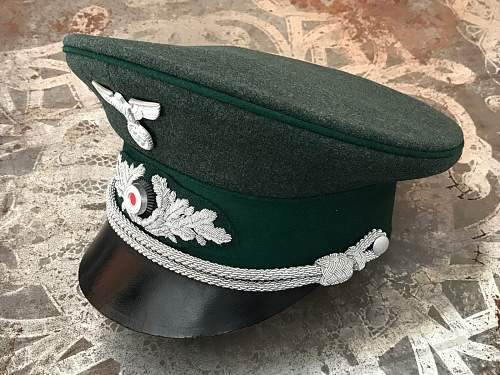 Forestry Service Official’s Visor