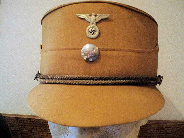 Post Your NSDAP Political Hats!