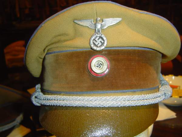 Post Your NSDAP Political Hats!