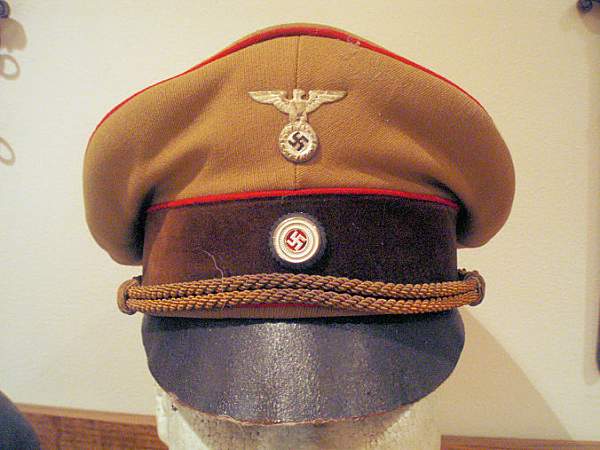 Post Your NSDAP Political Hats!