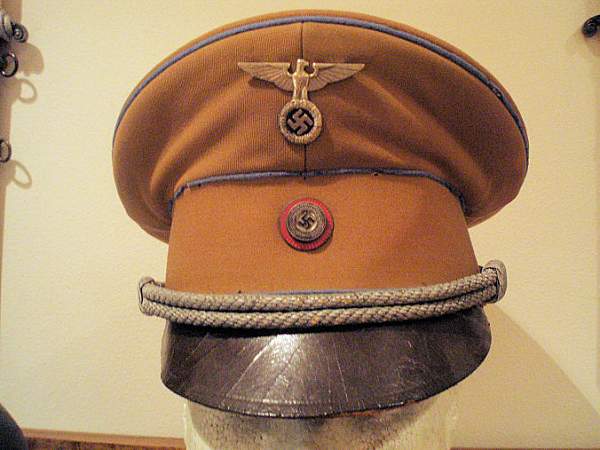 Post Your NSDAP Political Hats!