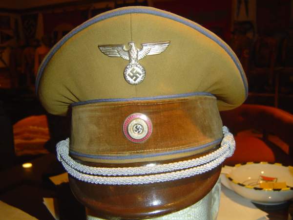 Post Your NSDAP Political Hats!