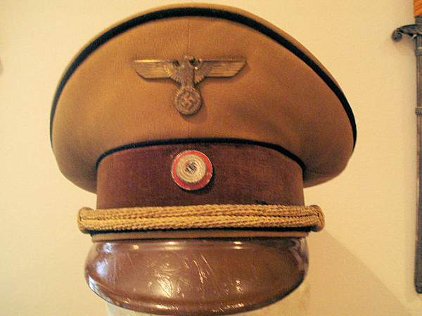 Post Your NSDAP Political Hats!