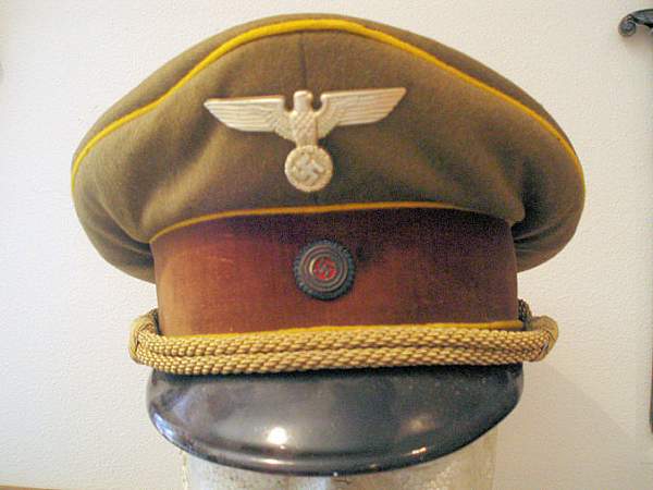 Post Your NSDAP Political Hats!