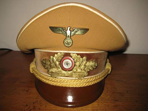 Post Your NSDAP Political Hats!