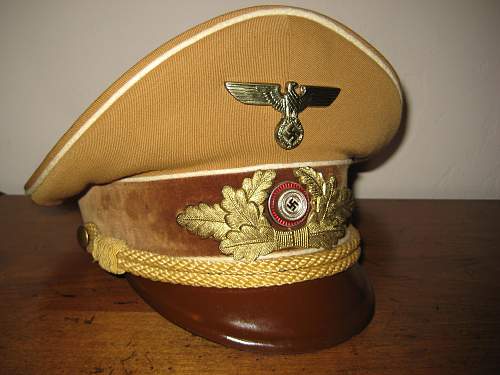 Post Your NSDAP Political Hats!