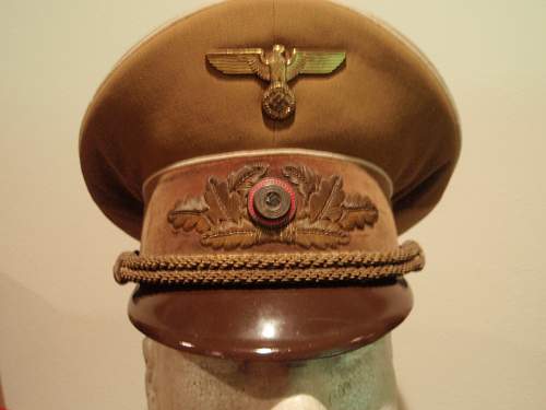 Post Your NSDAP Political Hats!