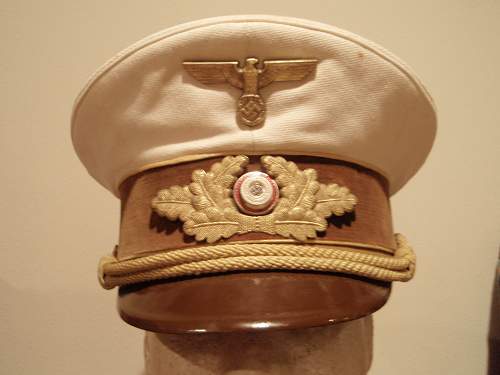 Post Your NSDAP Political Hats!