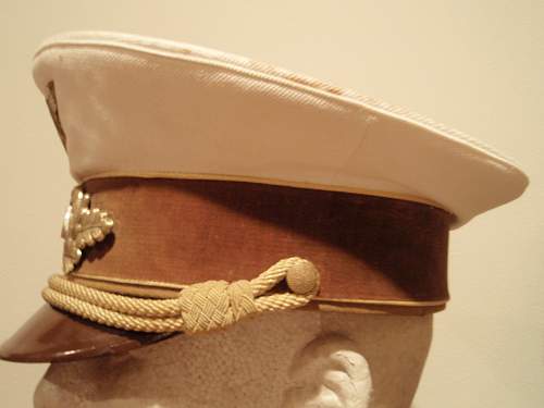 Post Your NSDAP Political Hats!