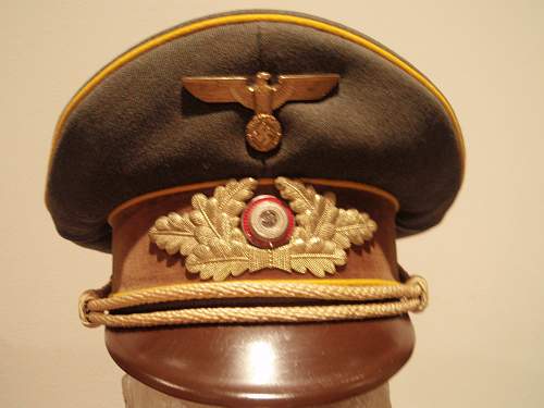 Post Your NSDAP Political Hats!