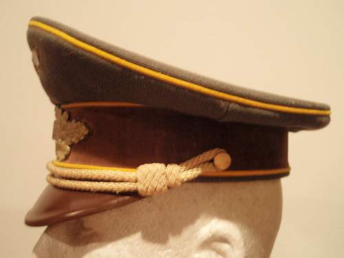 Post Your NSDAP Political Hats!