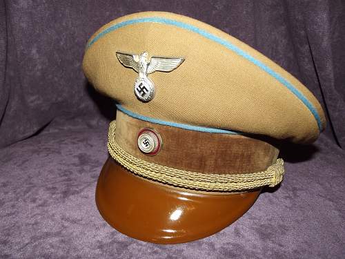 Mint, Boxed Form 3 NSDAP Ortsgruppenleiter Visor