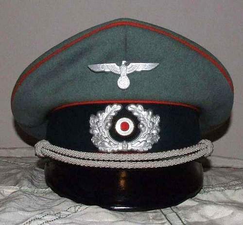 What do you think of this Army Officer's visor?