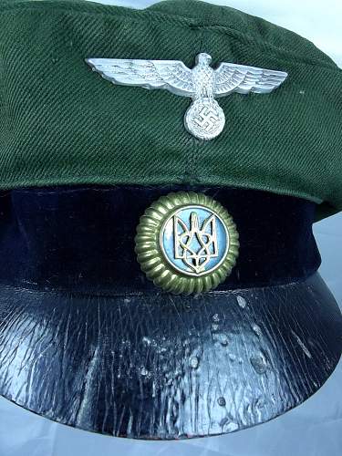 Ukrainian volunteer visor cap &amp; POA insignias