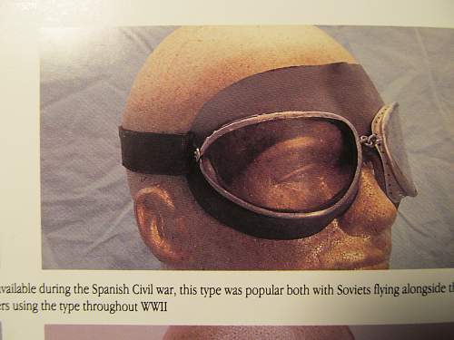 Luftwaffe Flight Helmet with Goggles