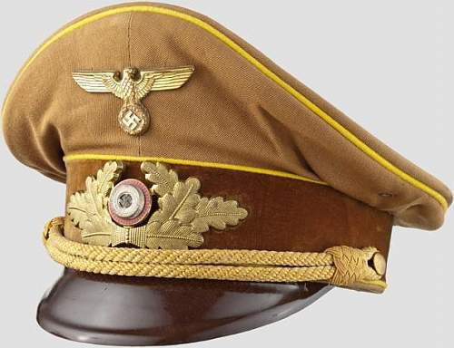 Post Your NSDAP Political Hats!