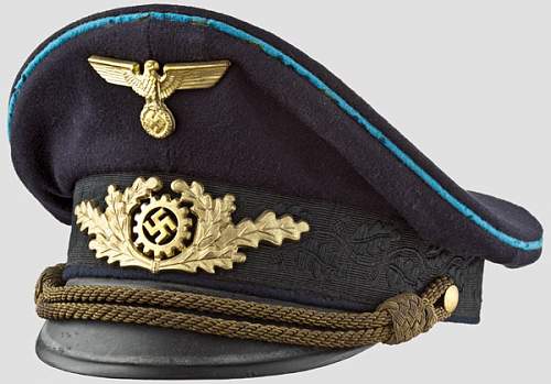 Post Your NSDAP Political Hats!