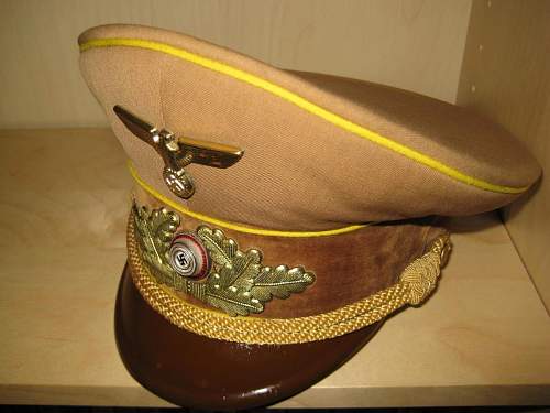 Post Your NSDAP Political Hats!