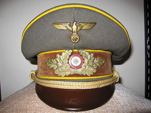 Post Your NSDAP Political Hats!