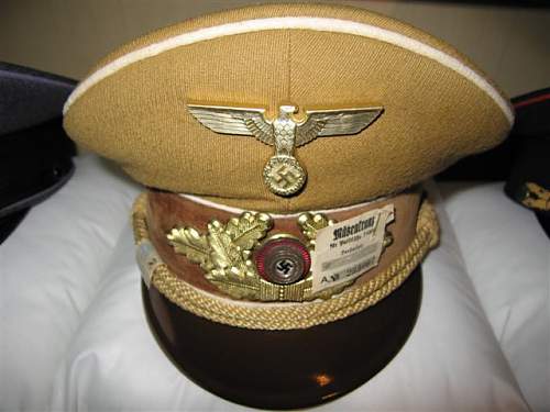 Post Your NSDAP Political Hats!